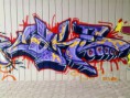 /album/fotos-dos-nossos-grafes/a10-jpg/